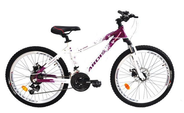 Велосипед ARDIS LX 200 ECO 24"
