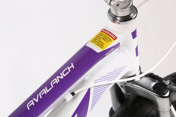Велосипед Ardis Avalanch 20" Білий/Фіолетовий